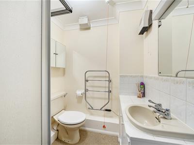 Picture 8